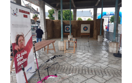 Journée sportive Comité olympiques à Brou